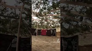 Navajo Wedding! #viralvideo #viralshort #viralshorts #viralvideos #fyp #fypシ゚viral #navajo