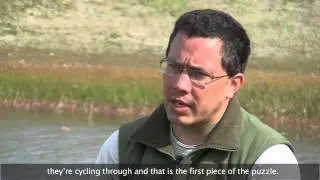 Bering Land Bridge National Preserve: Investigating Barrier Island Lagoons