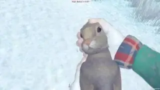 The Long Dark - Hunting Rabbits With Stones - New Feature - Faithful Cartographer
