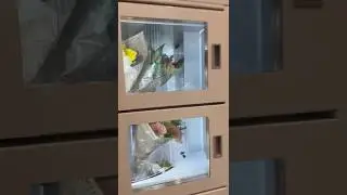 Israeli Buys Flowers For His Mother! #israel