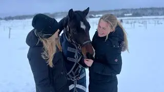 Sweden January 2026