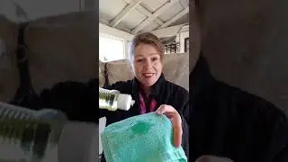 How to Oil Buff Your Horse for Maximum Shine and Conditioning