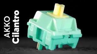 Akko Cilantro Switches – Akko & HMX’s First Deep Clack Tactile Switch!