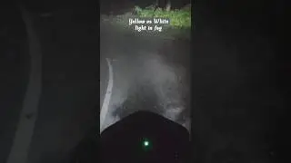 Yellow Light provide Better visibility in fog ? #discover #foglights