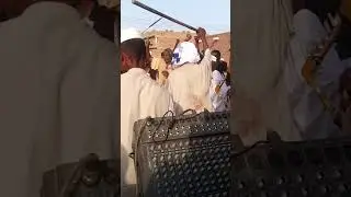 نبيل عاصم