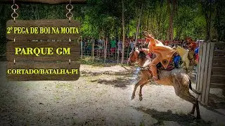 2&deg; Pega de Boi na Moita no Parque GM em Cortado/Batalha-Pi
