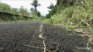 Life After People - Polly Road