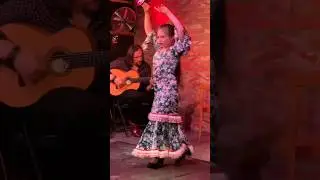 #flamenco #dance #flamengo #shorts