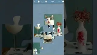 KELINCI LUCU | #PUZZLEFORFUN #puzzle #kelinci #lucu #puzzletime #puzzles #puzzlegame #short #shorts