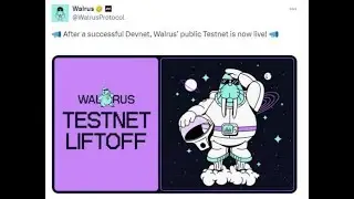 WALRUS SUI TESTNET || EARN UPTO 750$ || SUI WALLET | WAL | STAKE | BLOB | #crypto #aidrop #telugu