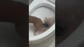 Remove toilet stains in 1 minute!