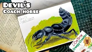 How to Draw a Devil's Coach Horse 🐞 | Creepy Crawly Art with 🖌️ | Terry Longhurst I Can Draw