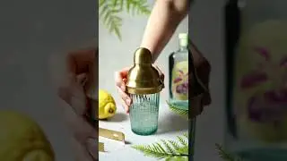 Erfrischender Citrus Gin Fizz 🍹 | Sommer-Cocktail Rezept