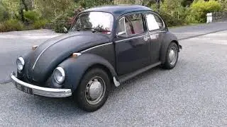 Vw Bug project