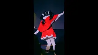 251225 이로파레 코이 직캠 (STAiNY - スターシャインパーク)