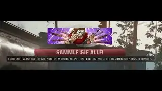 Call of Duty Black ops 6 Visitenkarten SAMMLE SIE ALLE! Kaufe alle Wandkauf-Waffen in einem einzigen