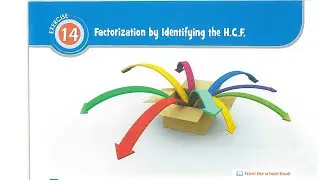 hcf for prep 1 first term