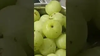 Amla tea for all age groups #shorts #shortsfeed