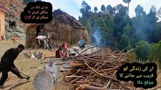 Bakrwal life in Azad Kashmir 🔥