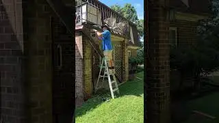 Fixing Gutters Sloped Wrong due to rotten wood. #diy #gutters #construction #home
