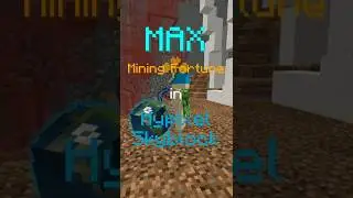 What is the Max Mining Fortune In Hypixel Skyblock?