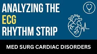 Analyzing the Electrocardiogram Rhythm Strip - Nursing Lecture - Chapter 22