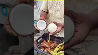 नारियल कैसे निकालें ? By Geetansh Patel