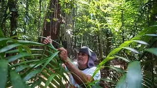 Communities of slave descendants in Brazil demand recognition of territories and livelihood