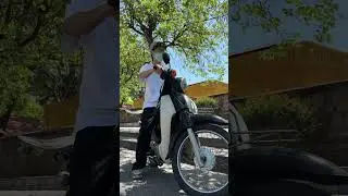 B&eacute;lier - Monday Skating Club