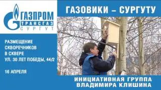 2016 04 16 Скворечники