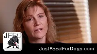 What Does Kidney Disease in Dogs Feel Like? feat. Dr. Julie Stegeman, DVM | JustFoodForDogs