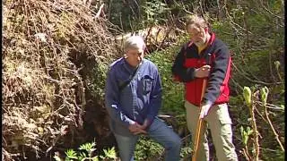 Example of a Translocation Soil Formation Process &ndash; Soil Mixing (Pedoturbation) by Windthrow