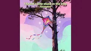 I find a kite stuck in the tree