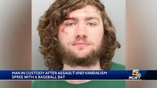 Man in custody after assault and vandalism spree with baseball bat