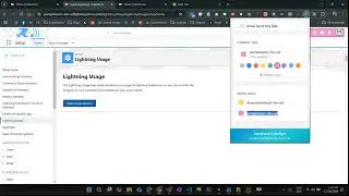 Salesforce ColorSync Browser Extension