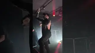 Ten56 - Earwing