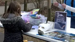 Potter Park Zoo hosts Night at a Living Museum event in partnership with MSU