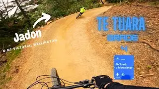 Te Tuara o Matairangi  (Mt Victoria) - Opening day test ride!