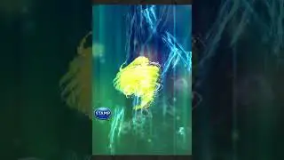 Ruby Weapon (FFVII) Lv.500 - Multiplayer Raid Dungeon - Final Fantasy Record Keeper (FFRK)