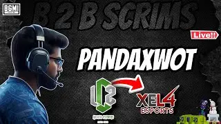 B2B SCRIMS || 4K ULTRA HD Streaming by PANDAxWOT || LACAZA W14D3 & XEL4 ESP W1D3 PRESENTS