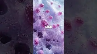 Microbial Superheroes: Life Thriving in Extreme Environments #microbiology #extremeenvironments
