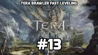 Tera Console - Fast Leveling Guide to 65! (Brawler 63 - 65)