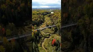 Rate this view 👀🍂!? Fort Creek, Sault Ste Marie 📸 #nature #travel #photography #djimini4pro