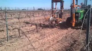 Prepodadora de precision de Pellenc TRP
