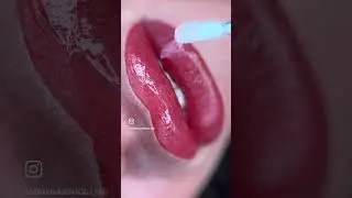 Velvet Finish, Real Results 💋✨ Permanent Lipstick Results!