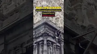 Kanchi Kamakshi Ambal Devasthanam Temple Kanchipuram Chennai #ytshorts #shorts #trending #chennai