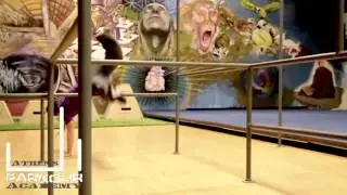 Athens Parkour Academy Groopio Project for Indoor Parkour Gym