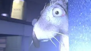 Bunny