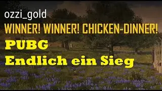 Winner Winner Chicken Dinner! -  PUBG #34