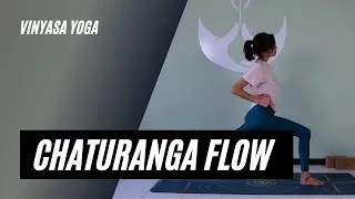 Yoga - Chaturanga e Forza